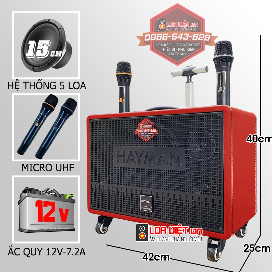 Loa xách tay HAYMAN X8-6 Bass 15cm
